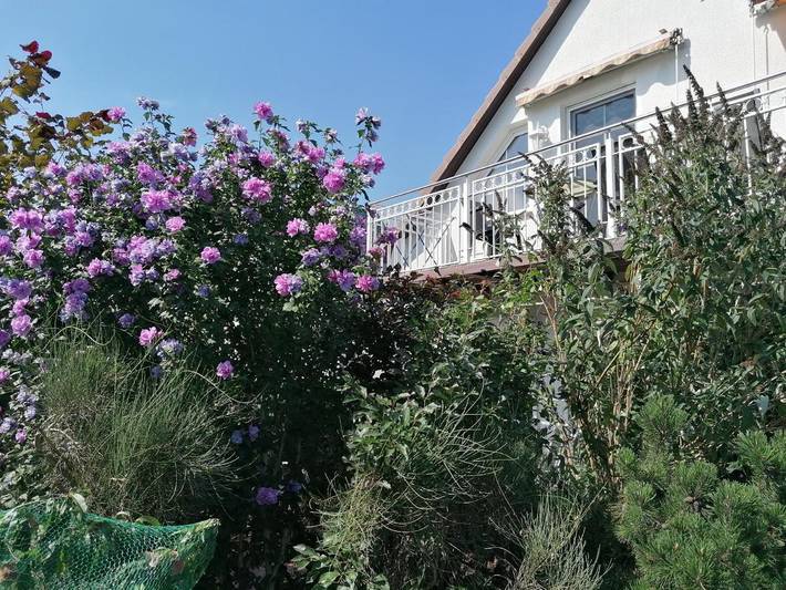 Ferienwohnung für 2 Personen, mit Balkon und Terrasse sowie Garten und Sauna in Ückeritz (Seebad)