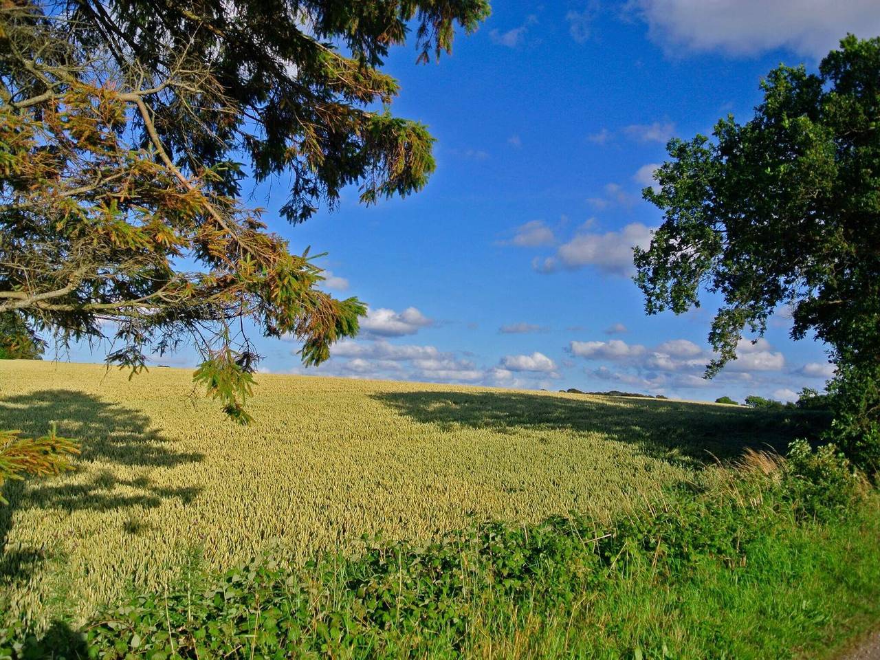 Luxus-Retreat in Hejlsminde – Von Traum in Hejls, Kleiner Belt