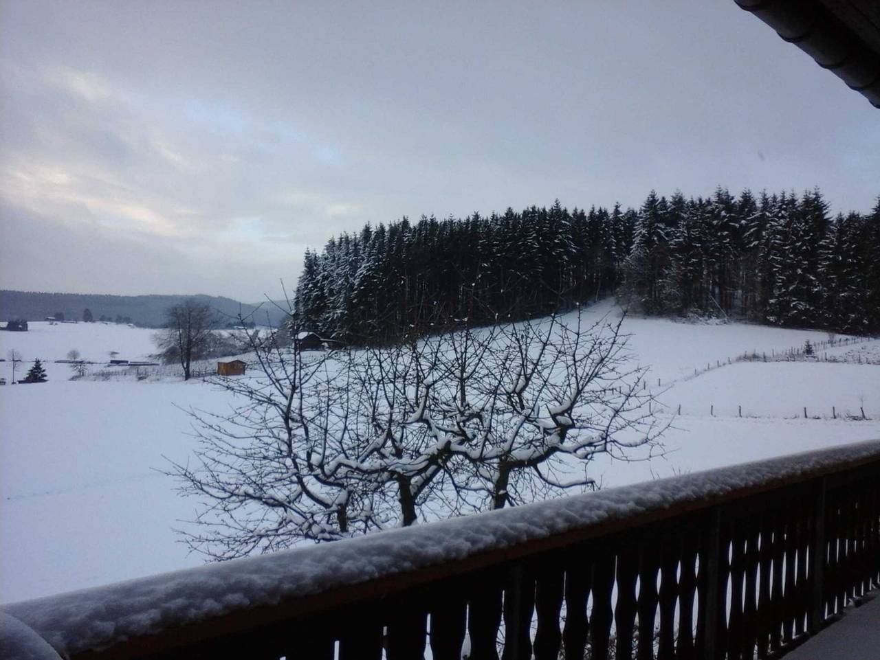 Ganze Ferienwohnung, Ferienwohnung Haus Weitblick - Ferienwohnung Marie in Düdinghausen, Medebach