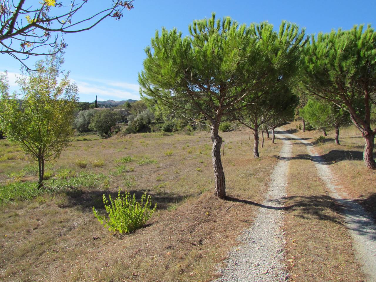 Gîte pour 5 personnes avec piscine in Montlaur (Languedoc-Roussillon), Région de Limoux