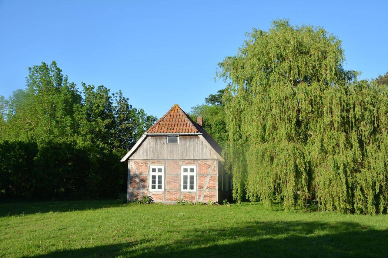 Ganze Wohnung, Two-Bedroom Apartment in Rodewald, Aller-Leine-Tal