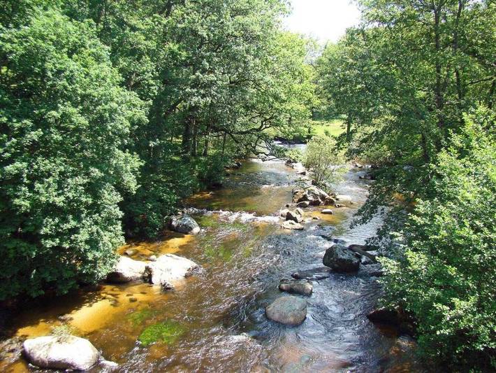 Maison de vacances pour 5 personnes, avec jardin, animaux acceptés