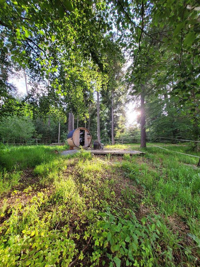 Holzhütte allein am Waldrand in Saldenburg, Ostbayern