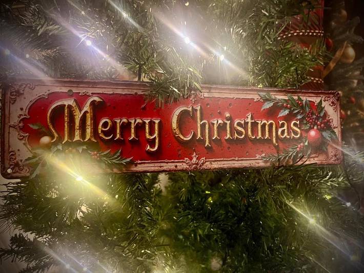 Location de vacances pour 2 personnes, avec terrasse et jardin à Maldegem - 4