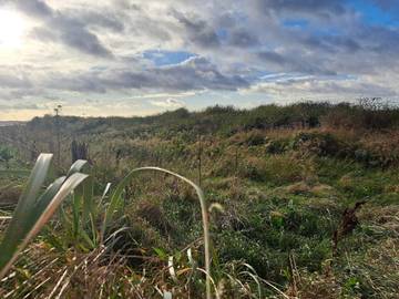 Ferienhaus für 6 Personen in Kalundborg, Nordwestseeland, Bild 2