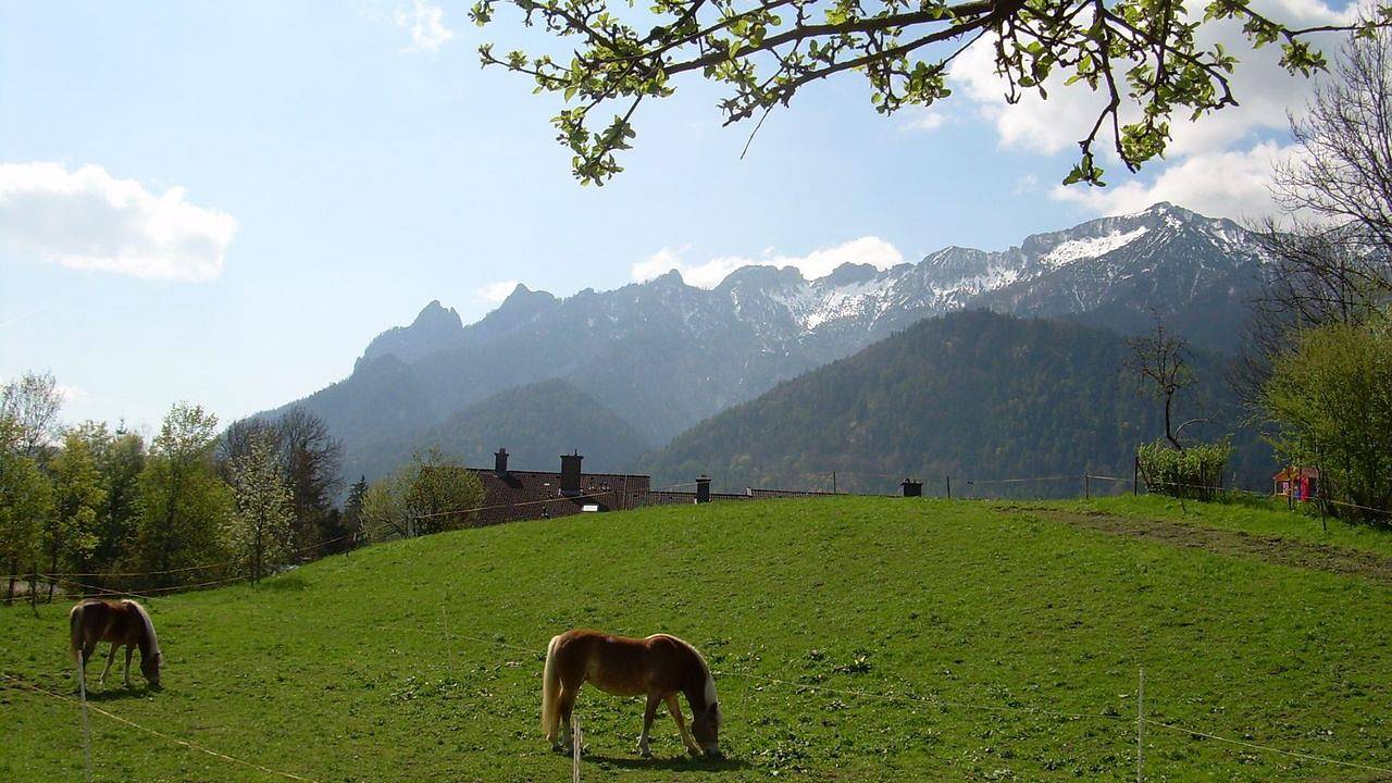 Ganze Ferienwohnung, Ferienwohnung für 3 Personen (50 m²) in Bayerisch Gmain in Bayerisch Gmain, Bayerische Alpen