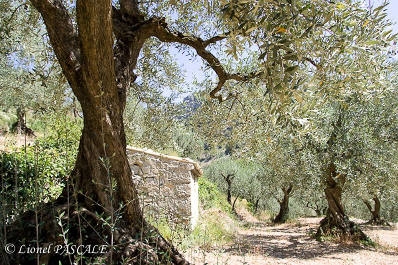 Maison du Lac avec piscine privée, en Drôme Provençale in Rousset-les-Vignes, Región de Nyons