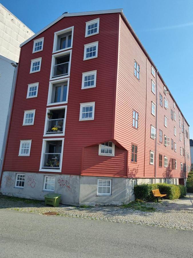 Chambre d’hôte pour 2 personnes, animaux acceptés dans Trondheim