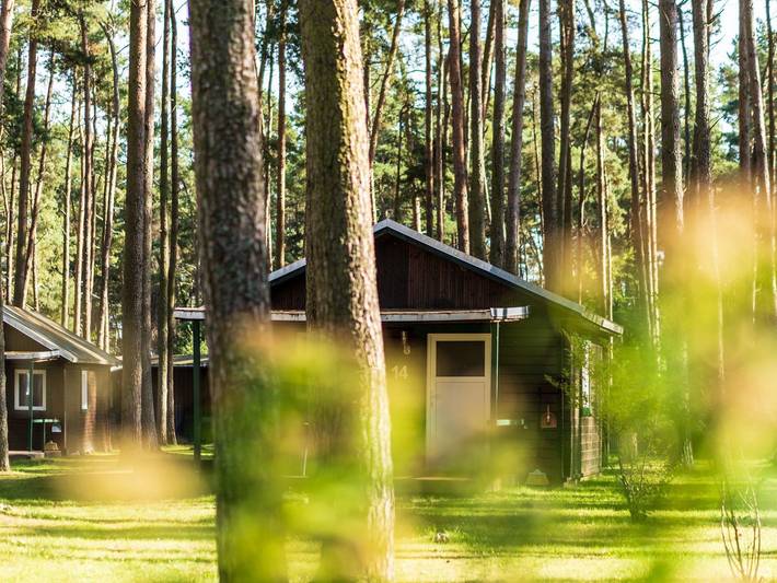 Urlaub im Bungalow - mitten im Wald - Bungalow Nr. 14 in Lütow, Usedomer Norden