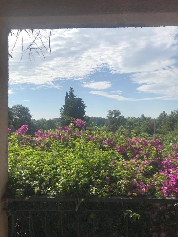 Appartement entier, U Ricordu in Prunelli-di-Fiumorbo, Parc naturel régional de Corse