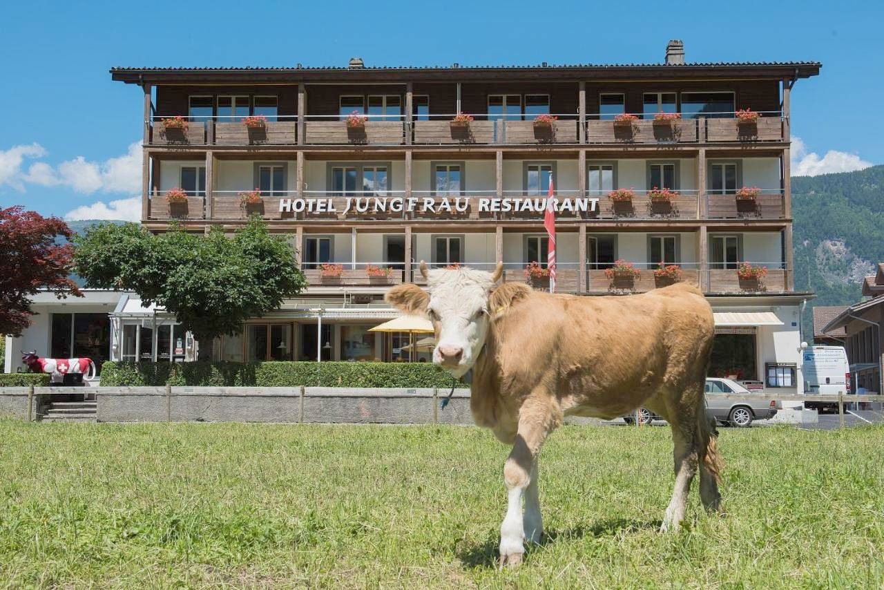 Hotel für 2 Personen mit Terrasse in Wilderswil, Thunersee