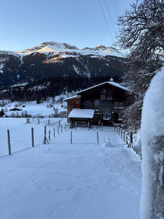 Ferienwohnung für 2 Personen, mit Ausblick und Garten in Grengiols - 2