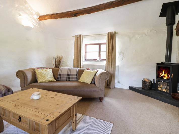 Cyffdy Cottage - Arenig in Llyn Tegid, Snowdonia