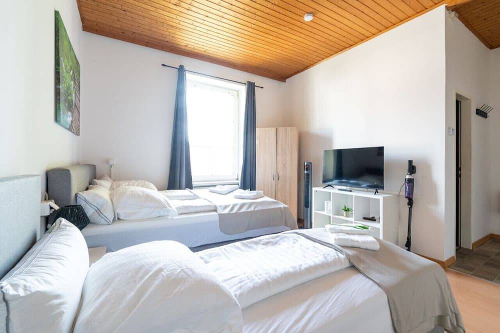 Ganze Wohnung, Perfekte Lage | 3 Gäste | 10 Min zur Uni | Wlan | Waschmaschine | Komfort in Leoben, Östliche Obersteiermark
