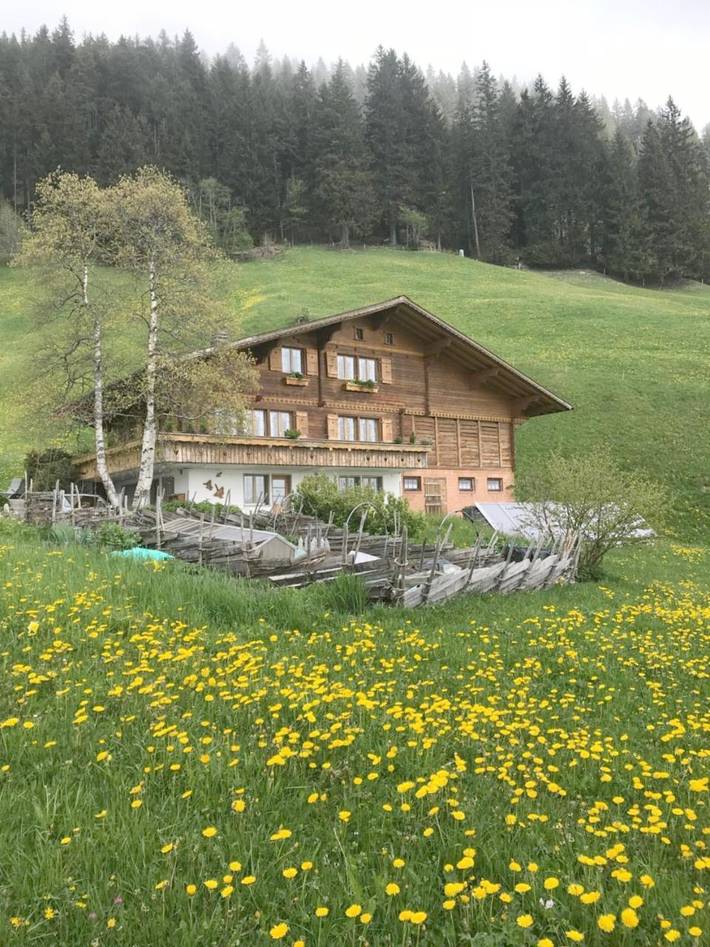 BnB für 3 Personen, mit Ausblick und Garten in der Schweiz - 2