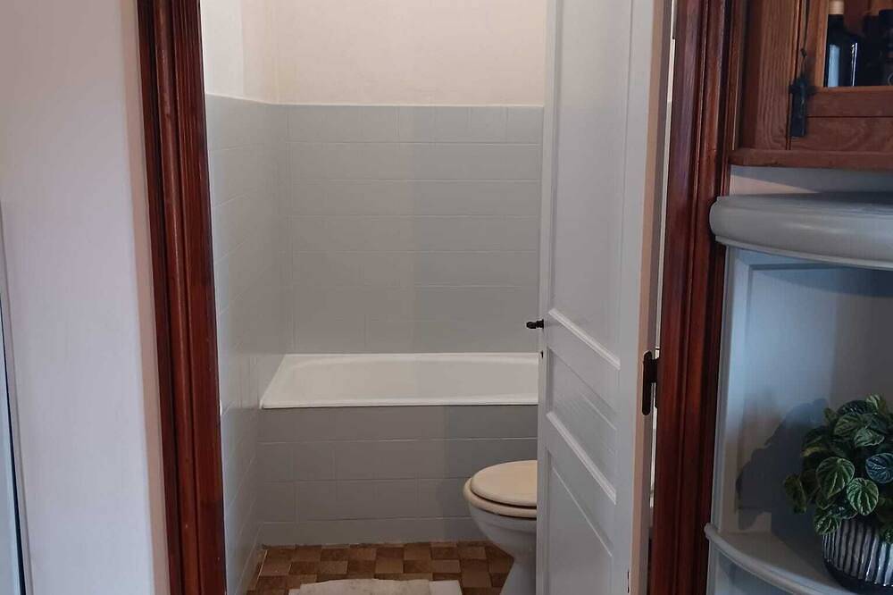 Charming,  house in Salies de Bearn. The home of Cleopatra and Smokey Joe in Salies-de-Béarn, Béarn