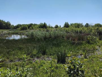 Ferieudlejning til 5 Personer i Bønsvig Strand, Præstø, Billede 4