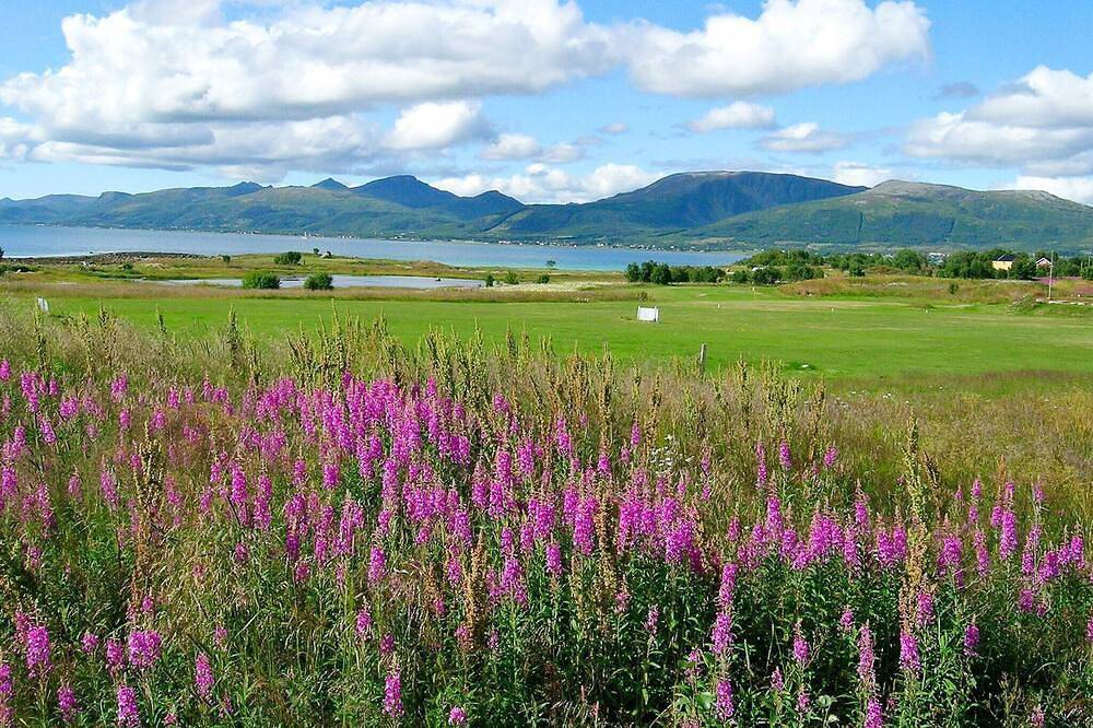 7 osob apartament w Sortland-By Traum in Sortland