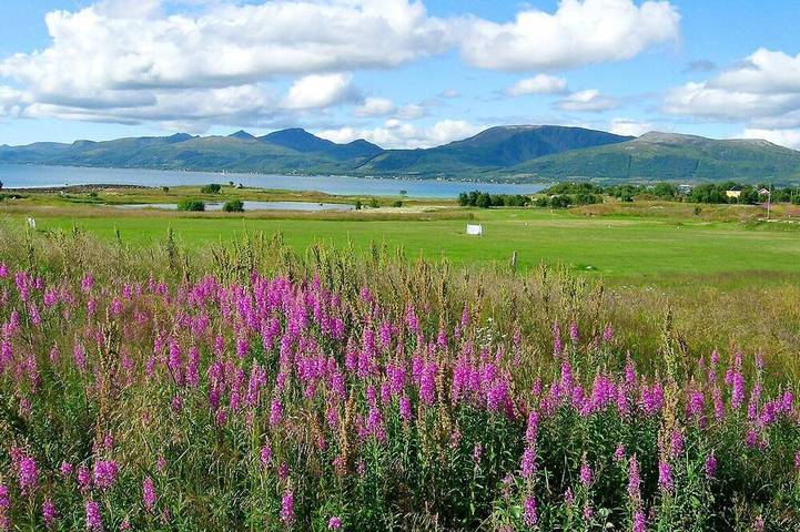 Dom dla 7 osób, z taras - 1