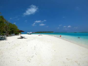 Maison d’hôte pour 2 personnes, avec jardin, animaux acceptés dans Dhiffushi