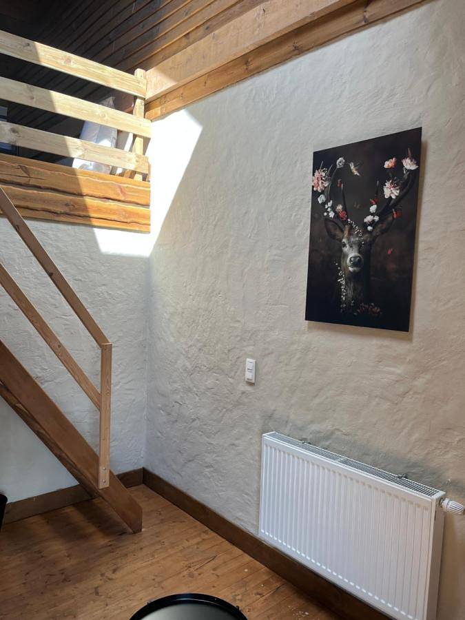 Chambre d’hôte pour 4 personnes, avec jardin ainsi que terrasse et vue à Vielsalm - 4