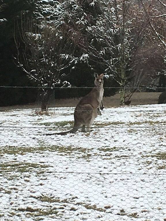 Cottage for 4 People in Crackenback NSW, New South Wales