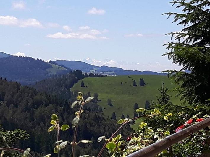 Ferienwohnung mit 2 Schlafzimmer in Wieden, Südschwarzwald