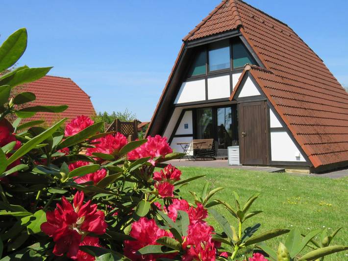 Ferienhaus für 6 Personen, mit Terrasse und Garten in Hollern-Twielenfleth