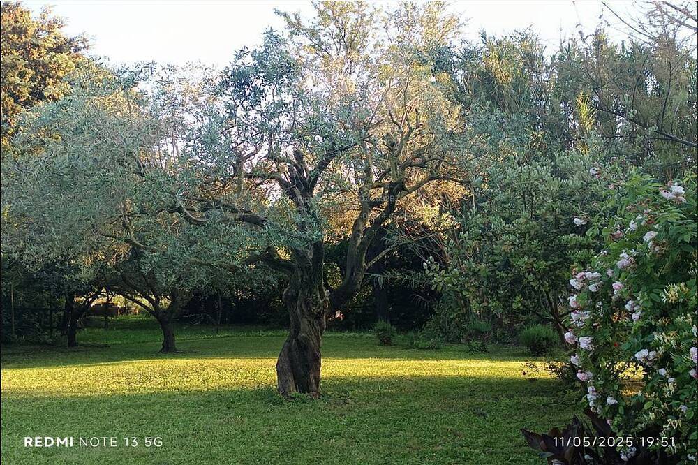 Vacation rental with swimming pool in the heart of Provence in Sarrians, Vaucluse