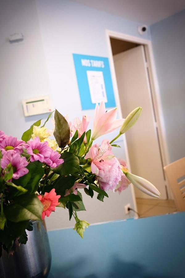 Hôtel pour 4 personnes, avec jardin, animaux acceptés à Rivesaltes - 4