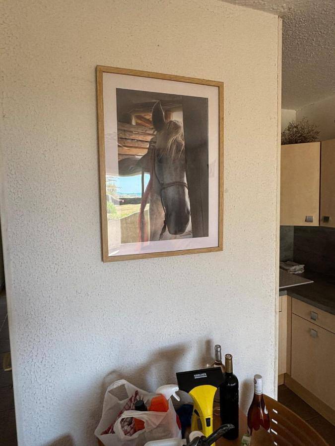 Gîte pour 4 personnes, avec terrasse dans Plage du Port (Les Saintes-Maries-de-la-Mer) - 2