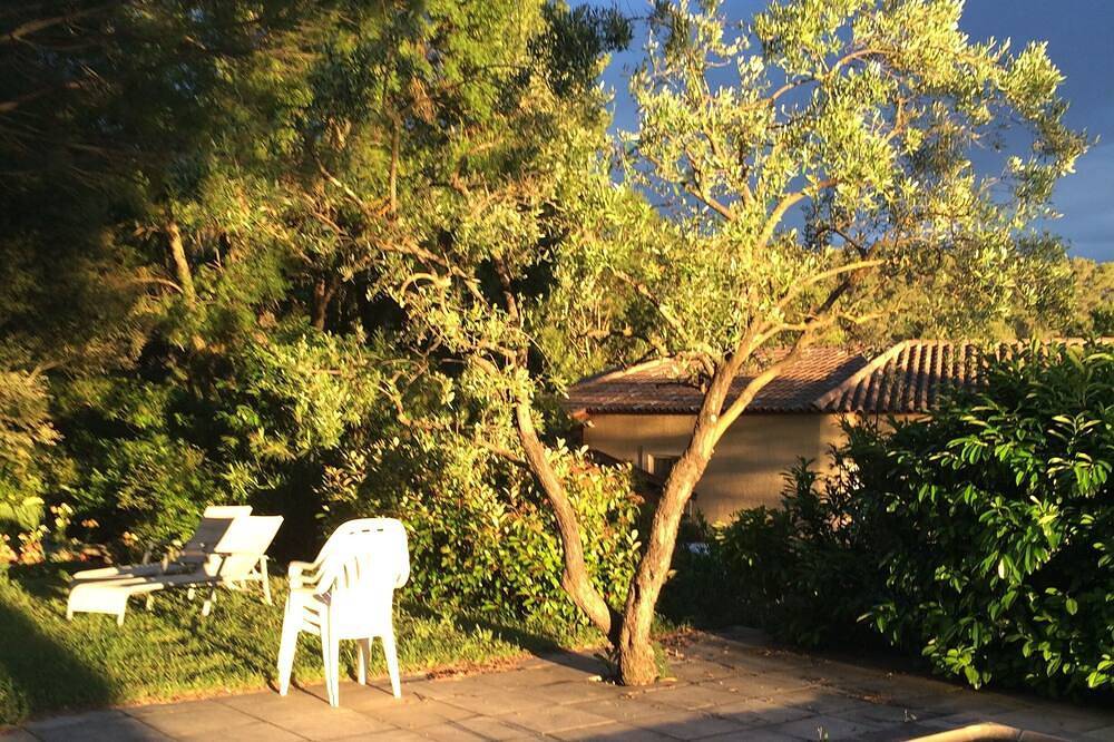 Villa With Pool Near Montpellier in Prades-le-Lez, Montpellier en omgeving