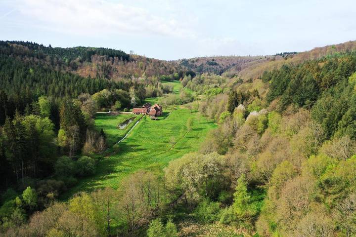 Location de vacances pour 9 personnes, avec jardin et vue à Soucht