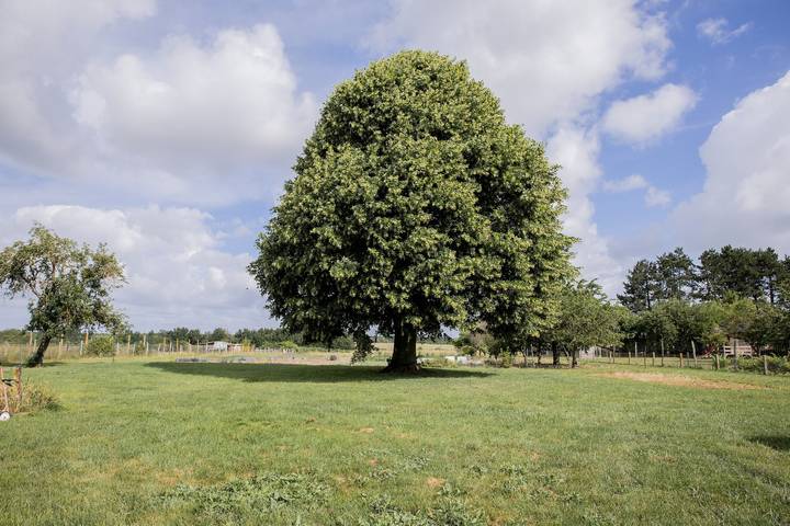 Maison de vacances pour 2 personnes, avec Jardin dans le Loir-et-Cher - 2