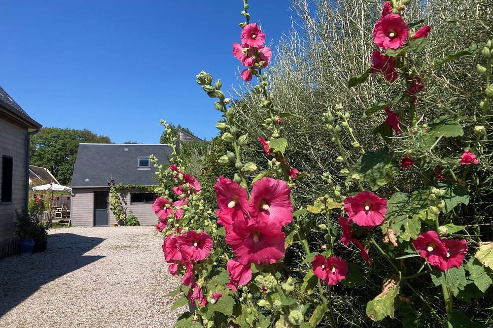 Tu Calma Y Acogedor Chalet A 200 M De La Playa in Bernières-sur-Mer, Región de Caen