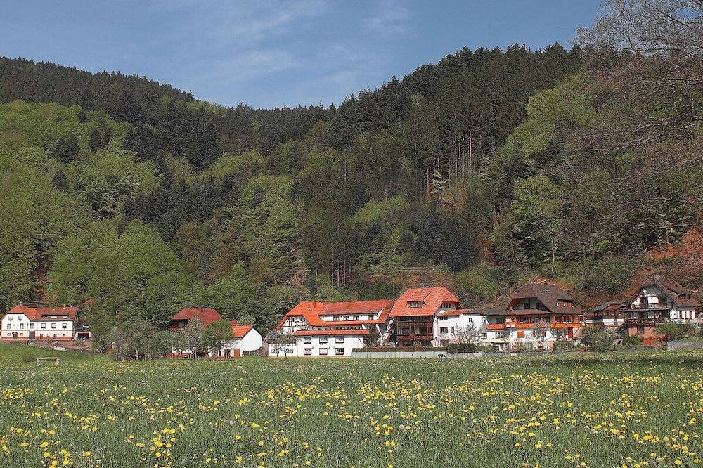 Ganze Wohnung, Ferienwohnung am Rain im südlichen Schwarzwald - Top Ausstattung in Winden im Elztal, Südschwarzwald
