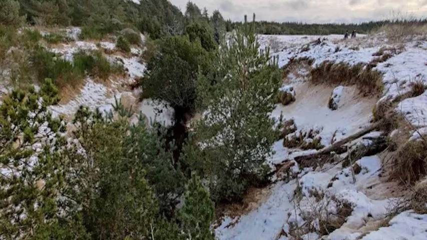Ferienhaus für 3 Personen, mit Garten, mit Haustier in Aalbæk - 4