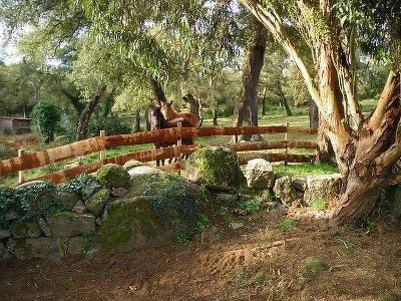 In Sartène mit Eigener Terrasse in Sartène, Distrito de Sartène