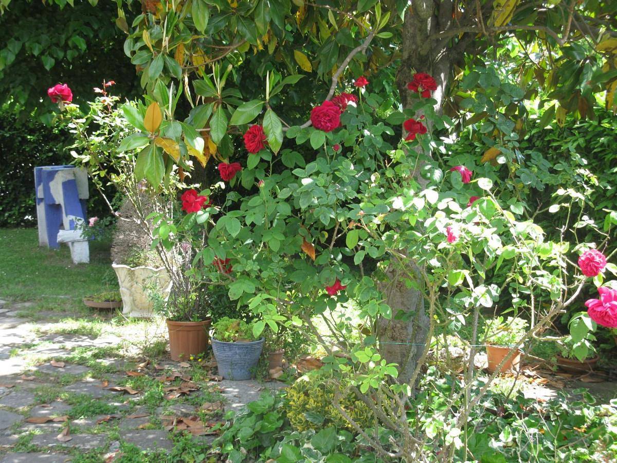 Two-Bedroom Villa in Bagno di Romagna, Provincia di Forlì-Cesena