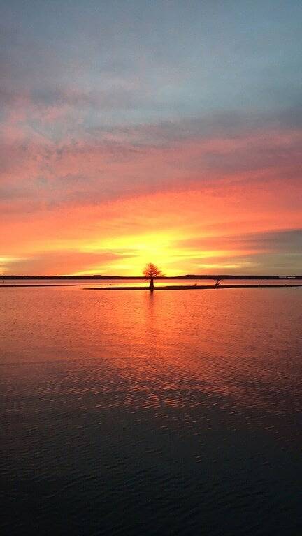 One of the best views of the lake on Toledo Bend…least thats what our guests say in Toledo Bend Reservoir
