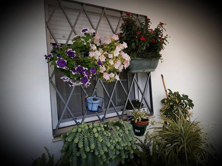 Casa rural para 11 personas, con jardín y vistas en El Real de la Jara - 4