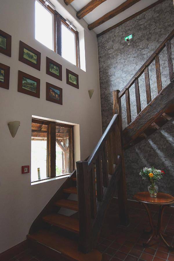 Hôtel pour 2 personnes, avec terrasse et jardin, animaux acceptés à Selles-Saint-Denis - 3