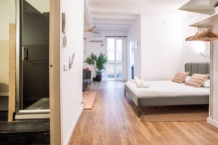 Ganze Wohnung, 44Poc1062 - Studio newly decorated in Poble Sec in Barcelona Zentrum, Barcelona