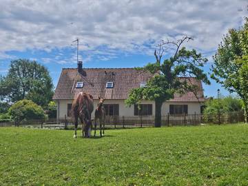 Gîte pour 10 personnes, avec vue et jardin, adapté aux familles à Saint-Riquier