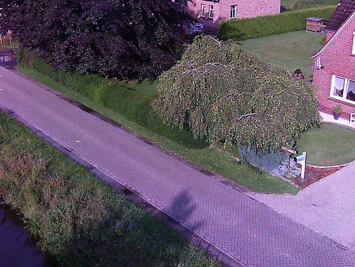 Beatrix Ilchmann in Ihlow, Landkreis Aurich