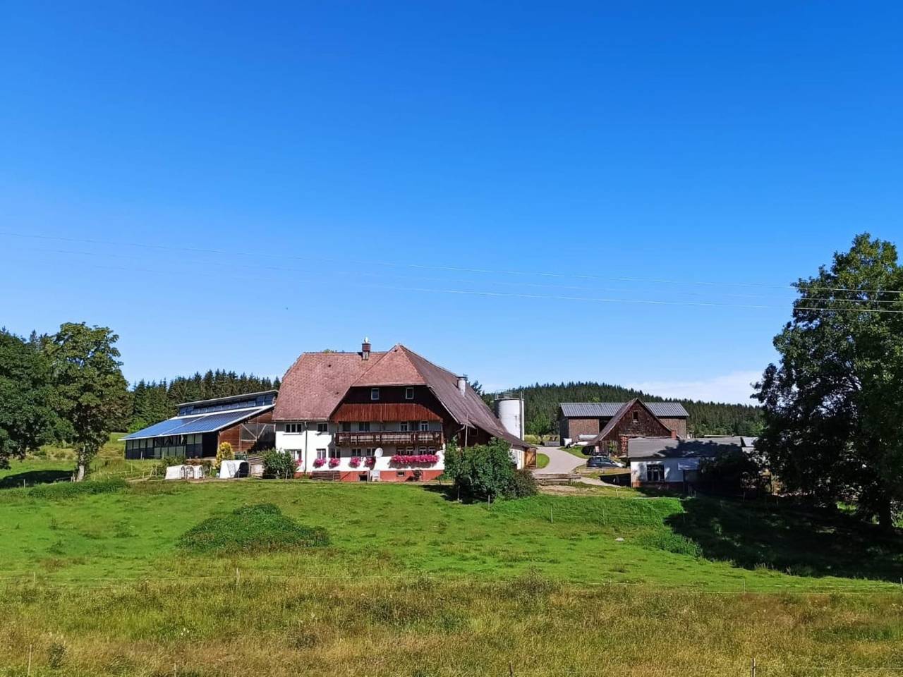 Ganze Wohnung, Zuckerbauernhof Weideblick in St. Georgen, Mittlerer Schwarzwald