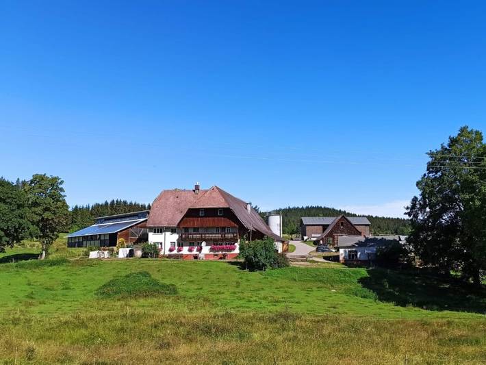 Ferienwohnung für 5 Personen in St. Georgen im Schwarzwald