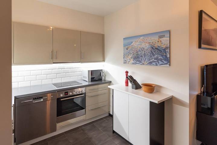 Gîte pour 5 personnes, avec sauna et terrasse dans Trysil - 4