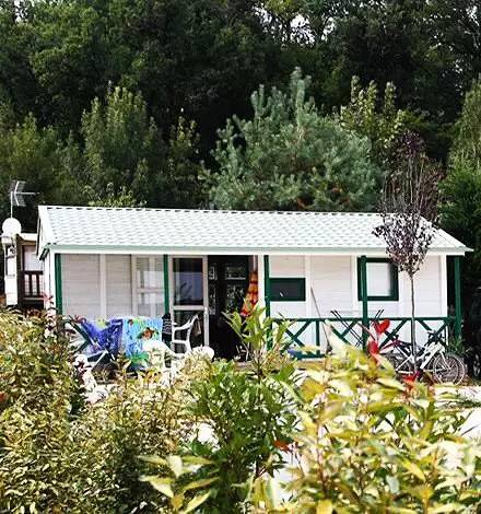Mobil home Eco 4pers 38m² avec terrasse couverte 2 chambres, 4 personnes in Castelnau-de-Montmiral, Région d'Albi