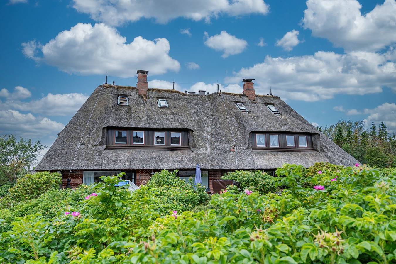 Ganze Wohnung, Ruhiges App. unter Reet für bis 4 Personen mit viel Charme und Liebe zum Detail in Wenningstedt, Sylt